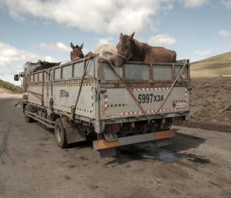 Mongolia Nomads in the drought - Dirk Gebhardt Photojournalist